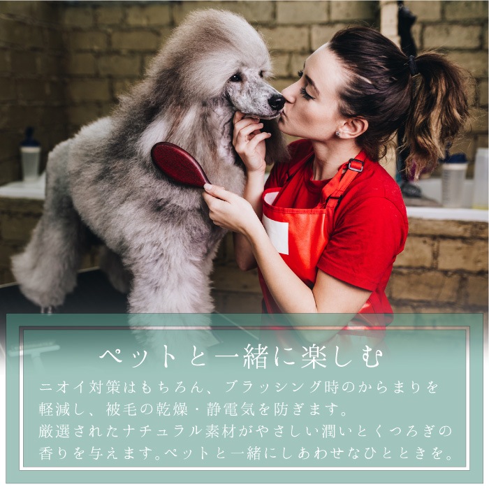 ����ȯ�䡿�ڥåȤ������ܥǥ����� 3�糧�åȡڥ�٥�����ۤޤȤ��㤤������ ���ѥե쥰���(1�� 100ml)�������ס�������ǥ�����ʡ�(��1�� 150ml ��5�ܴ���OK) �ž夬��Ĥ�䤫 �Ӥ�Ƥ�¿� ŷ������ �������˥å��ϡ����۹� ��ɷ� �˥����к� ����̵��