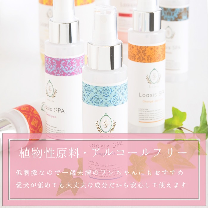 ����ȯ�䡿�ڥåȤ������ܥǥ����� 3�糧�åȡڥ�٥�����ۤޤȤ��㤤������ ���ѥե쥰���(1�� 100ml)�������ס�������ǥ�����ʡ�(��1�� 150ml ��5�ܴ���OK) �ž夬��Ĥ�䤫 �Ӥ�Ƥ�¿� ŷ������ �������˥å��ϡ����۹� ��ɷ� �˥����к� ����̵��
