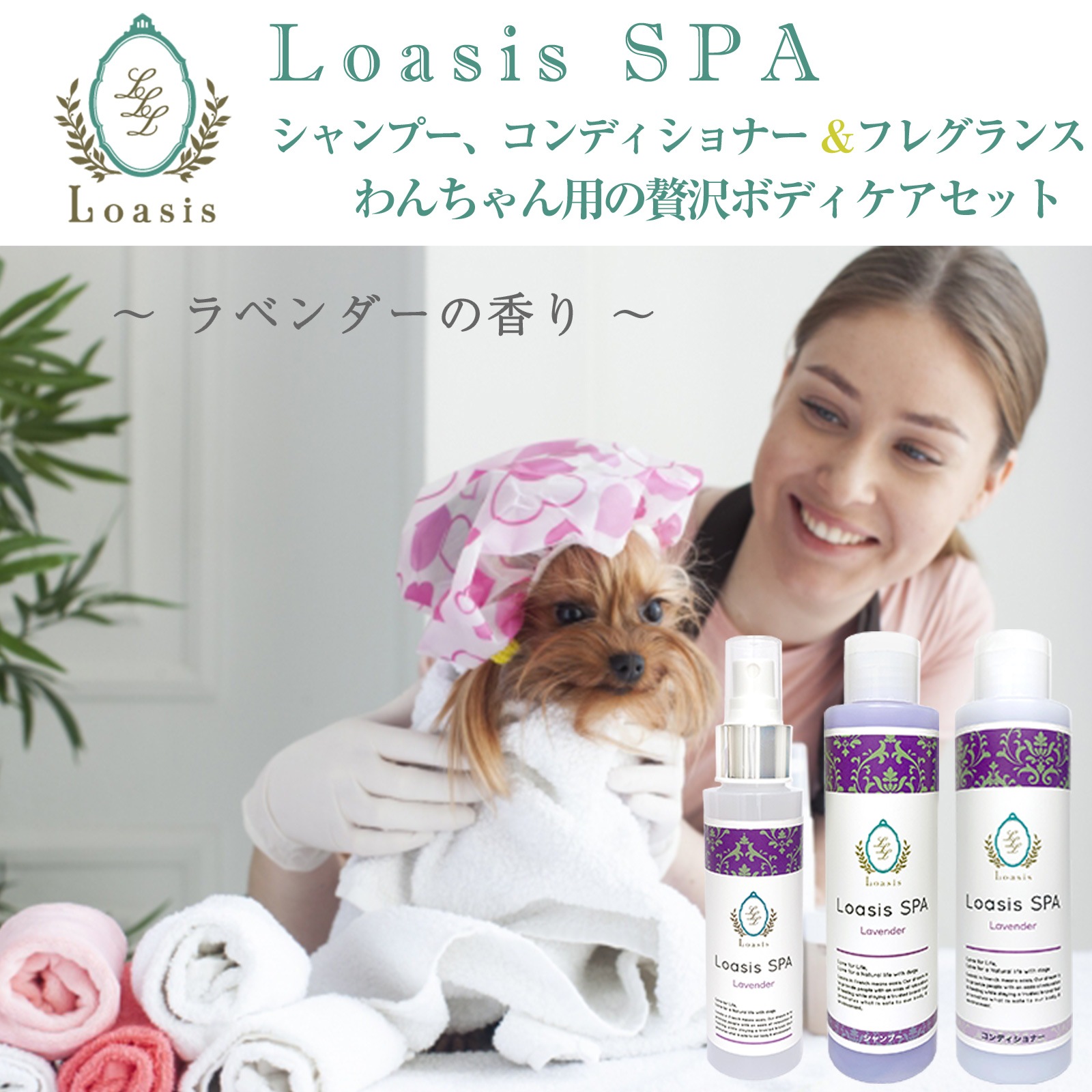 ����ȯ�䡿�ڥåȤ������ܥǥ����� 3�糧�åȡڥ�٥�����ۤޤȤ��㤤������ ���ѥե쥰���(1�� 100ml)�������ס�������ǥ�����ʡ�(��1�� 150ml ��5�ܴ���OK) �ž夬��Ĥ�䤫 �Ӥ�Ƥ�¿� ŷ������ �������˥å��ϡ����۹� ��ɷ� �˥����к� ����̵��