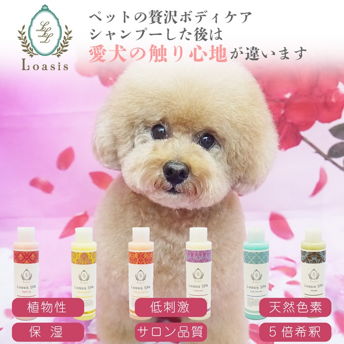 ����ȯ�䡿�ڥåȤ������ܥǥ����� 3�糧�åȡڥ�٥�����ۤޤȤ��㤤������ ���ѥե쥰���(1�� 100ml)�������ס�������ǥ�����ʡ�(��1�� 150ml ��5�ܴ���OK) �ž夬��Ĥ�䤫 �Ӥ�Ƥ�¿� ŷ������ �������˥å��ϡ����۹� ��ɷ� �˥����к� ����̵��