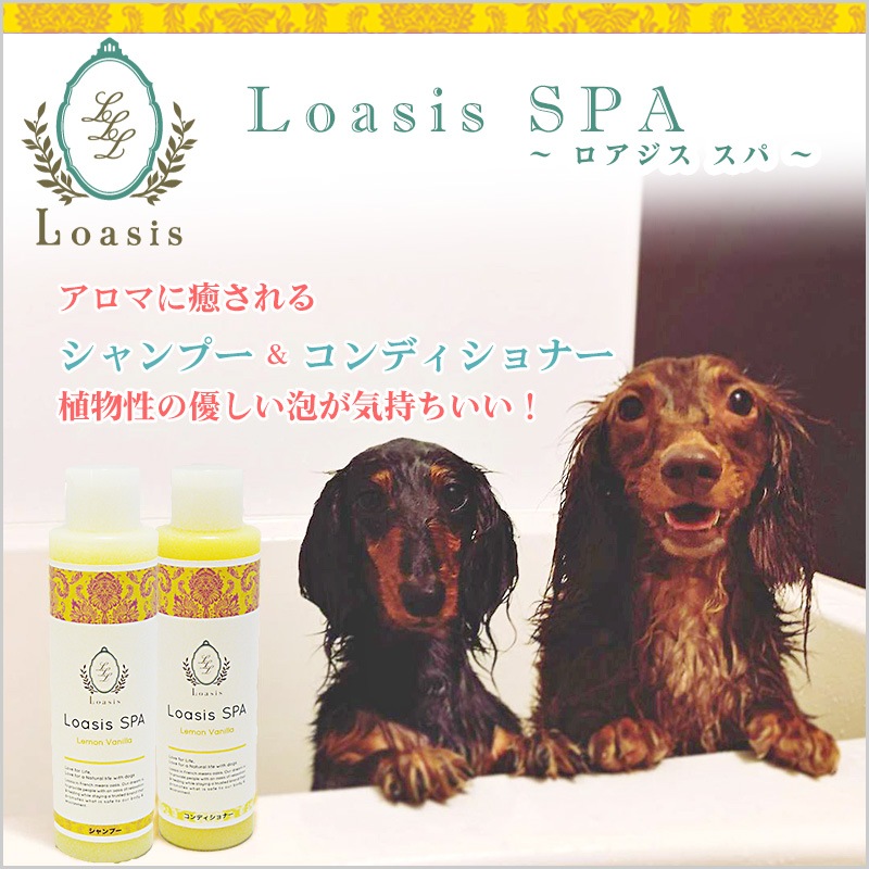 ����ȯ�䡿�ڥåȤ������ܥǥ����� 3�糧�åȡڥ�٥�����ۤޤȤ��㤤������ ���ѥե쥰���(1�� 100ml)�������ס�������ǥ�����ʡ�(��1�� 150ml ��5�ܴ���OK) �ž夬��Ĥ�䤫 �Ӥ�Ƥ�¿� ŷ������ �������˥å��ϡ����۹� ��ɷ� �˥����к� ����̵��