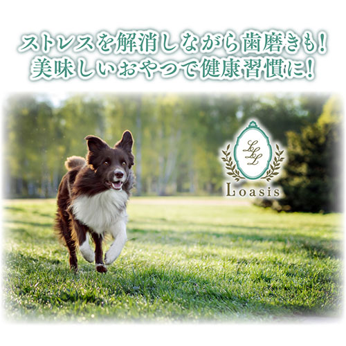 �ڿ��̸��ꡦ��ȯ���XXL������(��460g) Ķ���� �����ʥҥޥ��� �ҥޥ������� ���ƥ��å� ��ɸ���� �ڥå� ���Ѥ���� ̵ź�� ���� ��������ľ��Ź