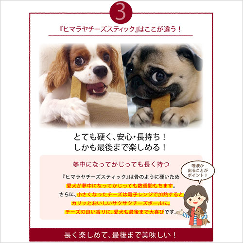 �ڿ��̸��ꡦ��ȯ���XXL������(��460g) Ķ���� �����ʥҥޥ��� �ҥޥ������� ���ƥ��å� ��ɸ���� �ڥå� ���Ѥ���� ̵ź�� ���� ��������ľ��Ź