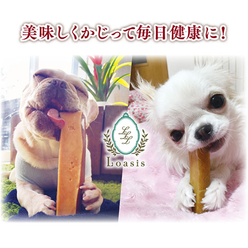 �ڿ��̸��ꡦ��ȯ���XXL������(��460g) Ķ���� �����ʥҥޥ��� �ҥޥ������� ���ƥ��å� ��ɸ���� �ڥå� ���Ѥ���� ̵ź�� ���� ��������ľ��Ź