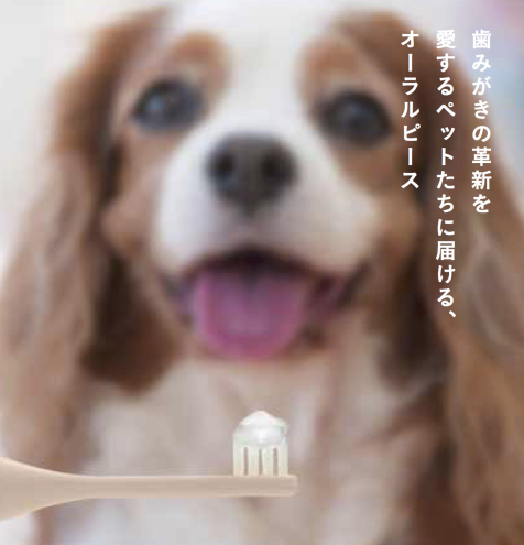 ԡ եڥå ᤭롡(ڥå  ǭ) ˥å  к ORALPEACE