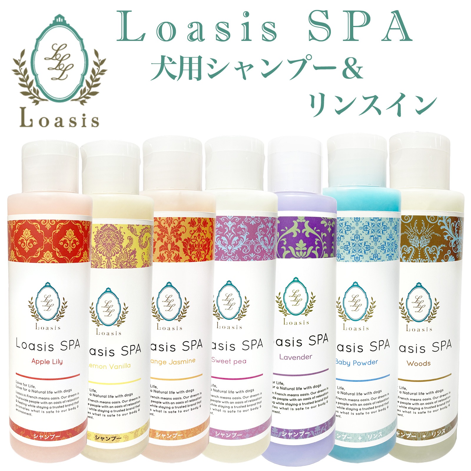 ������Τ�������10��OFF�������� �����ס�(5��) ��󥹥���(2��) 150ml ��5�ܴ����Ĺ���� �������� �Ӥ�Ƥ�¿� ��ʪ�� ŷ������ �������˥å��ϡ����۹� ��ɷ� �ݼ� ����륮���б� �ڥå�