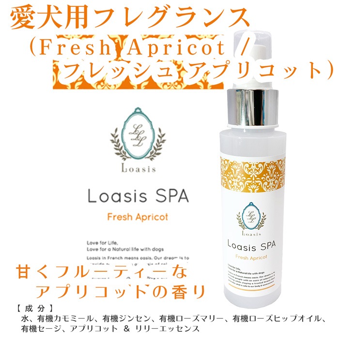  ե쥰 ץ졼(13ι) 100ml ӤƤ¿  ä ŵɻ ֥å ݼ ɷ ˥åϡ۹ ڥå SPA