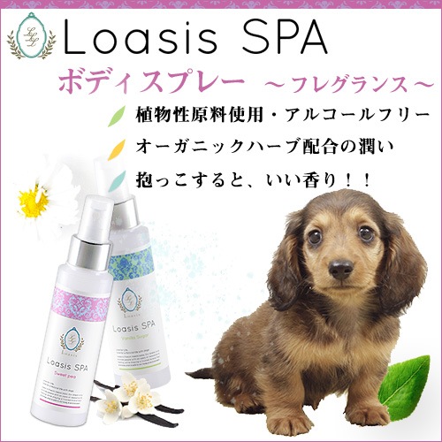  ե쥰 ץ졼(13ι) 100ml ӤƤ¿  ä ŵɻ ֥å ݼ ɷ ˥åϡ۹ ڥå SPA