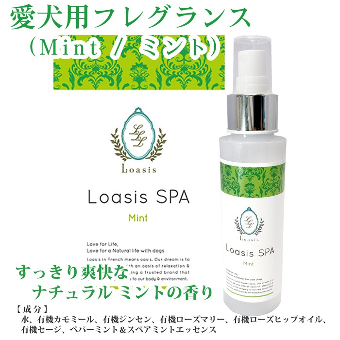  ե쥰 ץ졼(13ι) 100ml ӤƤ¿  ä ŵɻ ֥å ݼ ɷ ˥åϡ۹ ڥå SPA