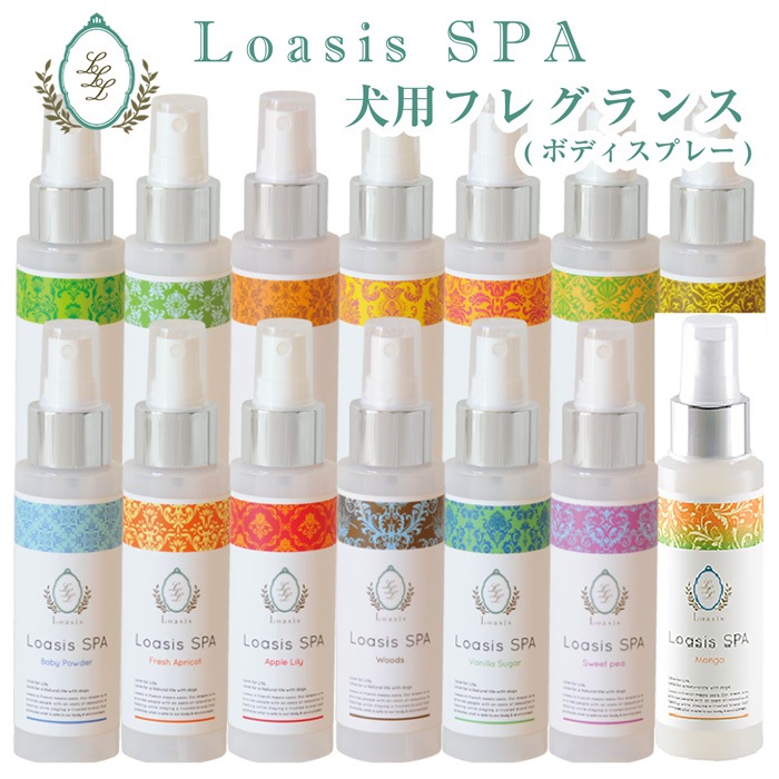  ե쥰 ץ졼(13ι) 100ml ӤƤ¿  ä ŵɻ ֥å ݼ ɷ ˥åϡ۹ ڥå SPA