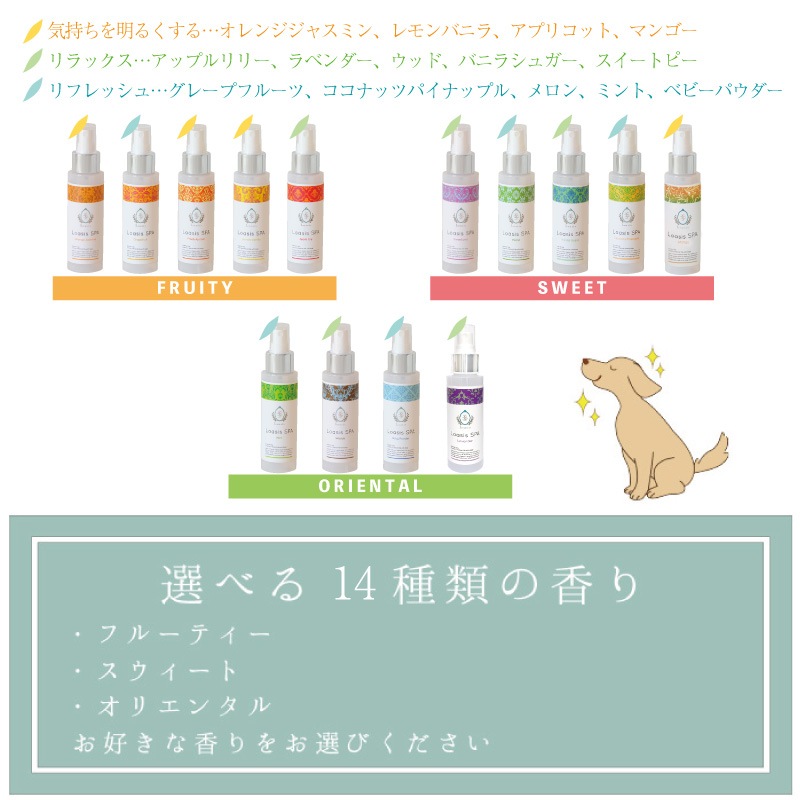 ������ �ե쥰��� ���ץ졼(14��ι��) 100ml �Ӥ�Ƥ�¿� ��� �����ä� ���ŵ��ɻ� �֥�å��� �ݼ� ��ɷ� �������˥å��ϡ����۹� �ڥå� ��������SPA