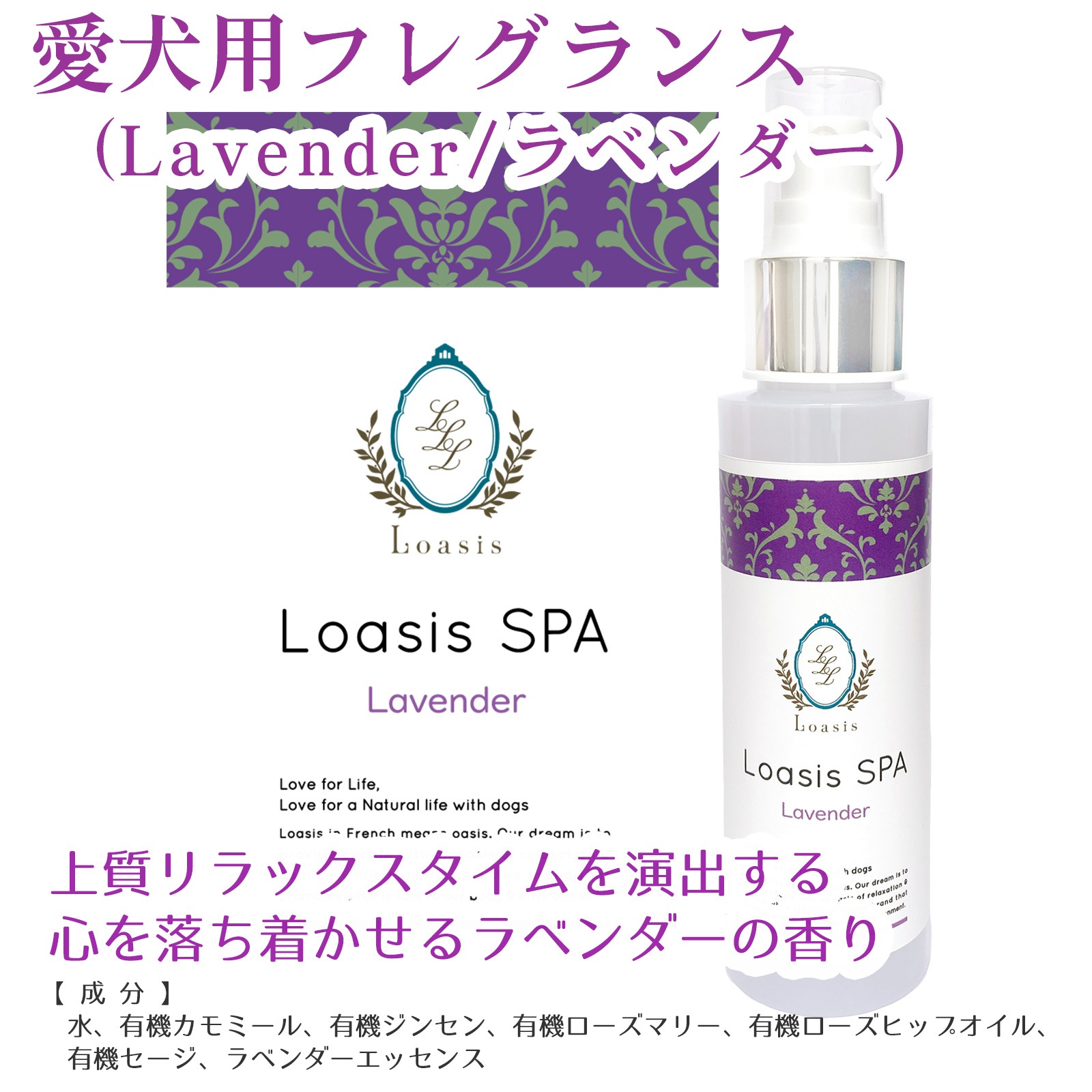 ������ �ե쥰��� ���ץ졼(14��ι��) 100ml �Ӥ�Ƥ�¿� ��� �����ä� ���ŵ��ɻ� �֥�å��� �ݼ� ��ɷ� �������˥å��ϡ����۹� �ڥå� ��������SPA