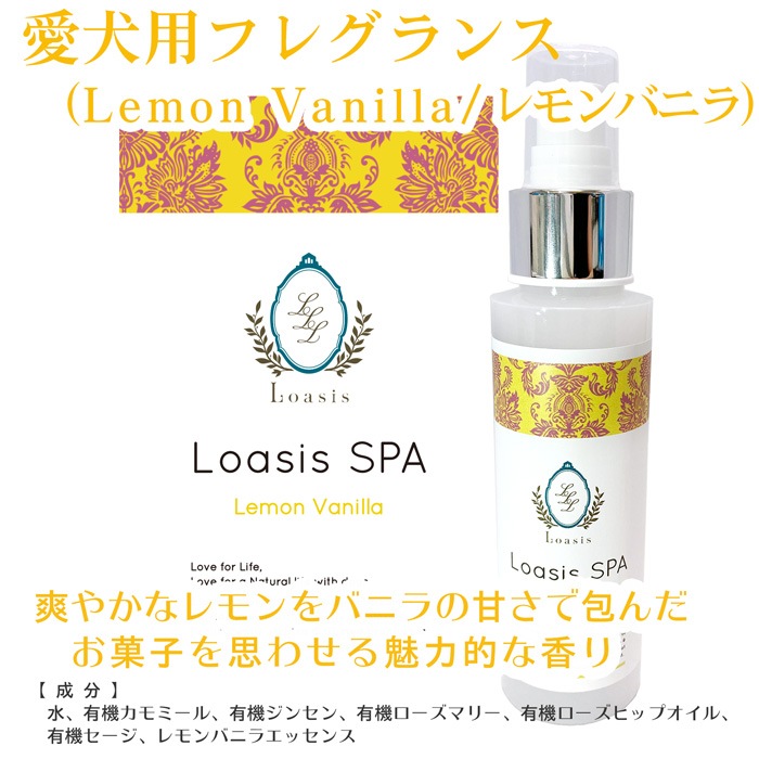  ե쥰 ץ졼(13ι) 100ml ӤƤ¿  ä ŵɻ ֥å ݼ ɷ ˥åϡ۹ ڥå SPA