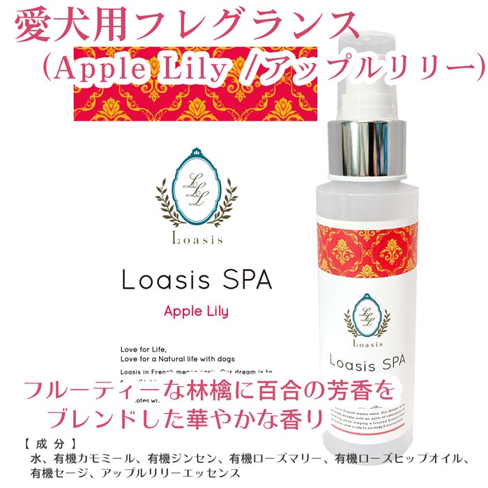  ե쥰 ץ졼(13ι) 100ml ӤƤ¿  ä ŵɻ ֥å ݼ ɷ ˥åϡ۹ ڥå SPA