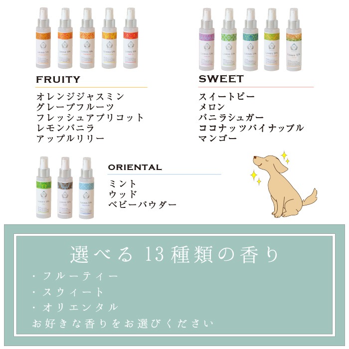  ե쥰 ץ졼(13ι) 100ml ӤƤ¿  ä ŵɻ ֥å ݼ ɷ ˥åϡ۹ ڥå SPA