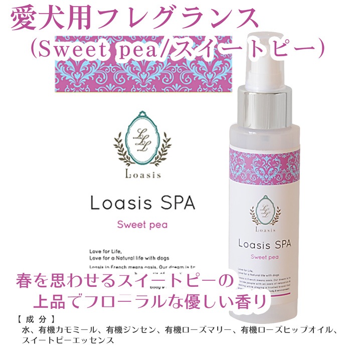  ե쥰 ץ졼(13ι) 100ml ӤƤ¿  ä ŵɻ ֥å ݼ ɷ ˥åϡ۹ ڥå SPA