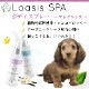  ե쥰 ץ졼(13ι) 100ml ӤƤ¿  ä ŵɻ ֥å ݼ ɷ ˥åϡ۹ ڥå SPA