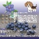 �����ѥ��å����� �٥��ե롧�ߥ˥ѥå� 32g �۰����ѥ���� ̵ź�� ̵�忧 ����륮���б� �㥫���꡼ ��γ ���ƹ�USDA�������˥å�ǧ�����������¿���������
