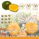 �����ѥ��å����� �٥��ե롧�ߥ˥ѥå� 32g �۰����ѥ���� ̵ź�� ̵�忧 ����륮���б� �㥫���꡼ ��γ ���ƹ�USDA�������˥å�ǧ�����������¿���������
