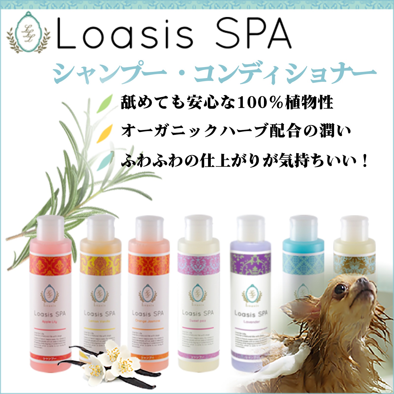������Τ�������10��OFF���ڥåȤ������ܥǥ����� 3�糧�åȡڥ��åץ��꡼�ۤޤȤ��㤤������ ���ѥե쥰���(1�� 100ml)�������ס�������ǥ�����ʡ�(��1�� 150ml ��5�ܴ���OK) �ž夬��Ĥ�䤫 �Ӥ�Ƥ�¿� ŷ������ �������˥å��ϡ����۹� ��ɷ� �˥����к� ����̵��