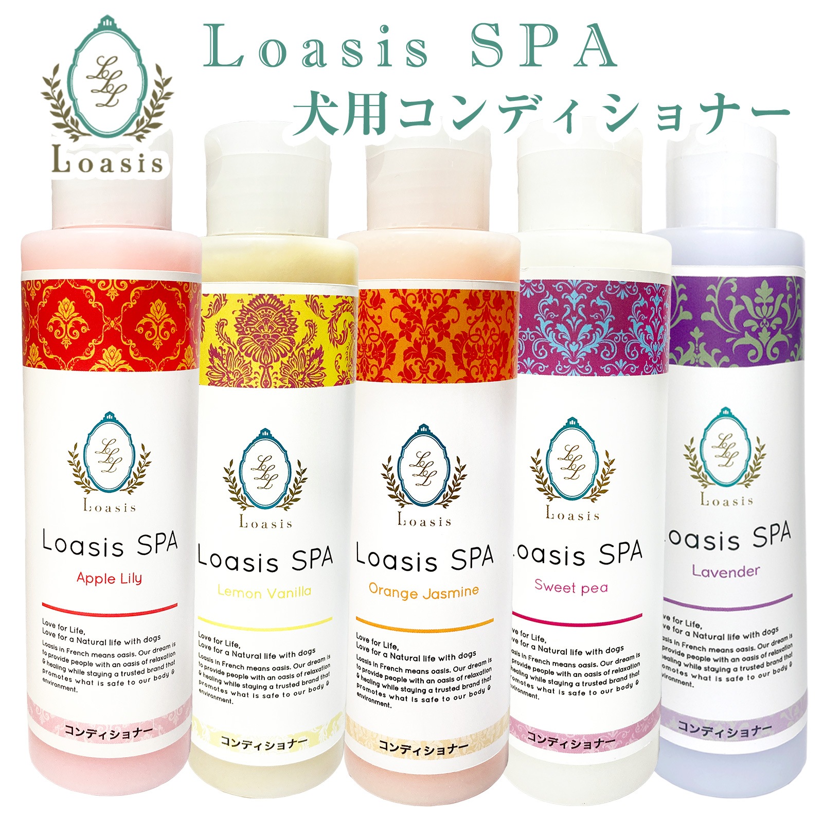 ������Τ�������10��OFF�������� ����ǥ�����ʡ�(5��) 150ml ��5�ܴ����Ĺ���� �������� �Ӥ�Ƥ�¿� ��ʪ�� ŷ������ �������˥å��ϡ����۹� ��ɷ� �ݼ� ����륮���б� �ڥåȡ���������SPA