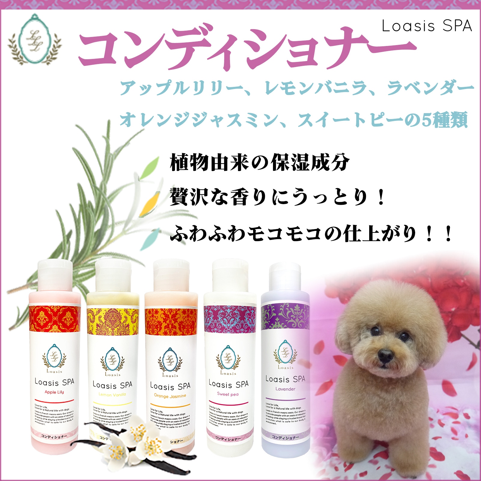 ������Τ�������10��OFF�������� ����ǥ�����ʡ�(5��) 150ml ��5�ܴ����Ĺ���� �������� �Ӥ�Ƥ�¿� ��ʪ�� ŷ������ �������˥å��ϡ����۹� ��ɷ� �ݼ� ����륮���б� �ڥåȡ���������SPA