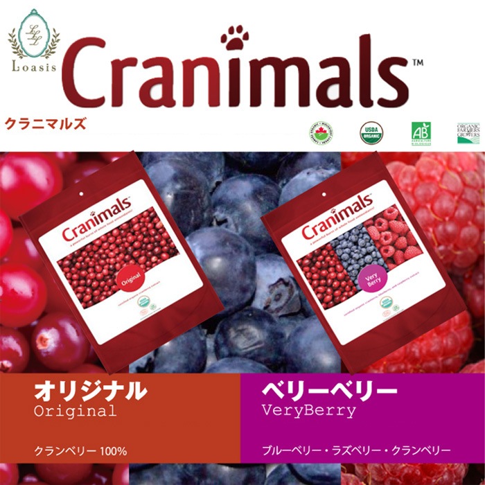 ����˥ޥ륺 ���ꥸ�ʥ� �ʤ���Ѿ��ޡ�12g�� �� ǭ �ڥå��� �������˥å� �����٥꡼100% ����̣����2026ǯ11��