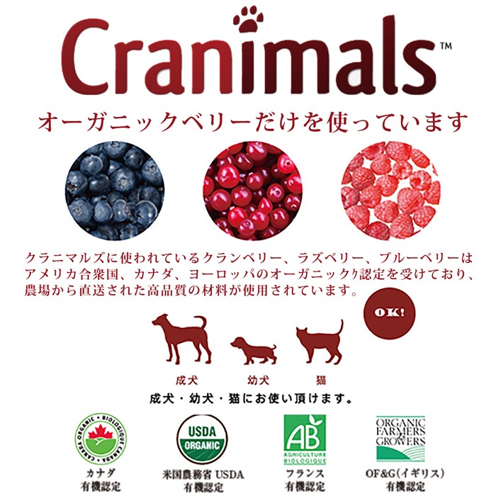 ����˥ޥ륺 ���ꥸ�ʥ� �ʤ���Ѿ��ޡ�12g�� �� ǭ �ڥå��� �������˥å� �����٥꡼100% ����̣����2026ǯ11��