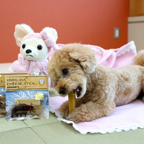 դդ եޥå (L 600600mm) ں륷꡼  ڥå  Фå  åȥ100%