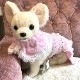 �դ�դ�İ������إ��С����ʿ����٥ӡ��ԥ󥯡� �ں��������륷�꡼����