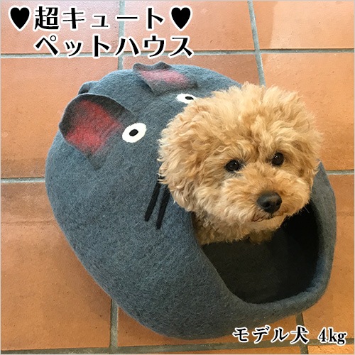 ネコセカイ 公式オンラインショップ / 接触冷感キャットスクエア