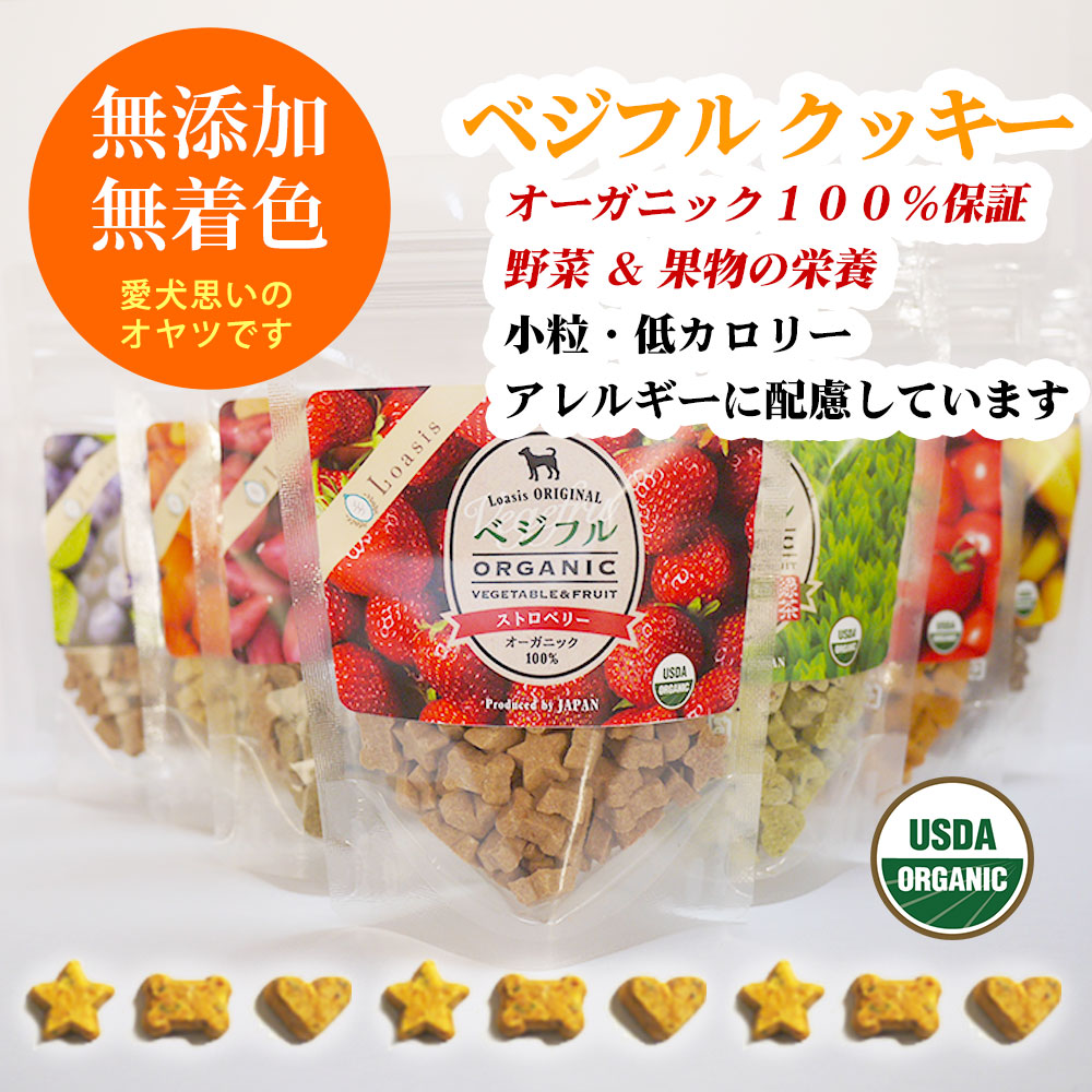 �٥��ե� �������˥å� ���å��� �ڥ쥮��顼�ѥå� 70g�� �ƹ�USDA�������˥å�ǧ����� �����ѥ���� ̵ź�� ̵�忧 ����륮���б� �㥫���꡼ ��γ ���᡼����OK