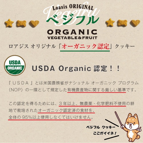 �٥��ե� �������˥å� ���å��� �ڥ쥮��顼�ѥå� 70g�� �ƹ�USDA�������˥å�ǧ����� �����ѥ���� ̵ź�� ̵�忧 ����륮���б� �㥫���꡼ ��γ ���᡼����OK