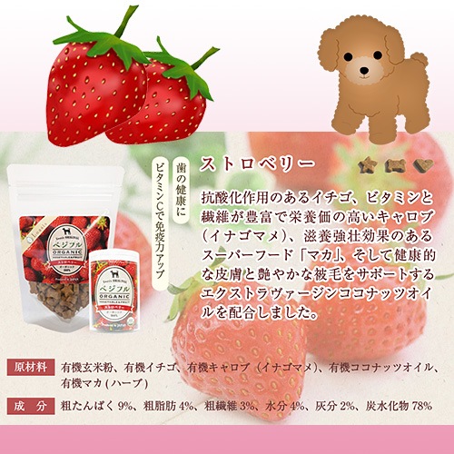 �٥��ե� �������˥å� ���å��� �ڥ쥮��顼�ѥå� 70g�� �ƹ�USDA�������˥å�ǧ����� �����ѥ���� ̵ź�� ̵�忧 ����륮���б� �㥫���꡼ ��γ ���᡼����OK