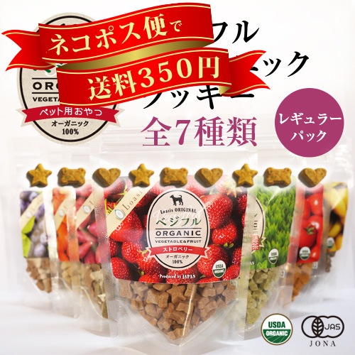 �٥��ե� �������˥å� ���å��� �ڥ쥮��顼�ѥå� 70g�� �ƹ�USDA�������˥å�ǧ����� �����ѥ���� ̵ź�� ̵�忧 ����륮���б� �㥫���꡼ ��γ ���᡼����OK