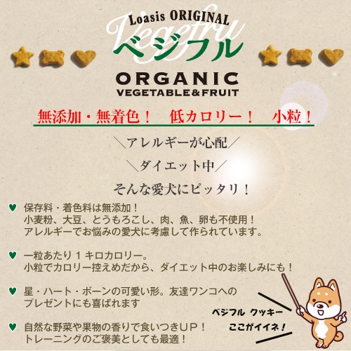 �٥��ե� �������˥å� ���å��� �ڥ쥮��顼�ѥå� 70g�� �ƹ�USDA�������˥å�ǧ����� �����ѥ���� ̵ź�� ̵�忧 ����륮���б� �㥫���꡼ ��γ ���᡼����OK