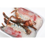 カナダ産 活オマール生冷ハーフセットアップ(4ハーフ入)