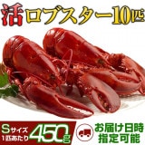 天然カナダ・アメリカ東海岸産 活ロブスター450g以上（オマール海老[エビ]）S [×10匹]