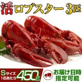天然カナダ・アメリカ東海岸産 活ロブスター450g以上（オマール海老[エビ]）S [×3匹]
