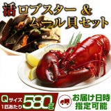 活ロブスターとムール貝の贅沢セット（活ロブスター580g以上 サイズQ [×3匹]＋殻付きムール貝LL 1kg［×1セット］）