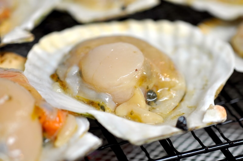 【BURGA】地中海☆Today's Special☆オイスター・貝殻☆機種豊富 殻付ほたて貝（片貝・8〜10枚入)×1個 北海道噴火湾産 殻長10