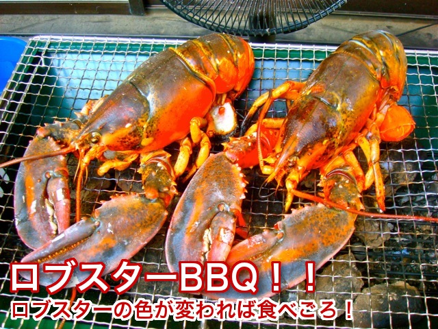 日本 オマールヘッド 1kg 冷凍 カナダ産 オマール海老の頭 オマール ロブスター オマールの頭 ヘッド 頭アメリケーヌソース ビスク お出汁 ソース 業務用 プロ用食材 飲食店向け Fucoa Cl