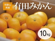 Ï²λ³¸©»º¡¡ÍÅĤߤ«¤ó¡Ú10Ô¡Û