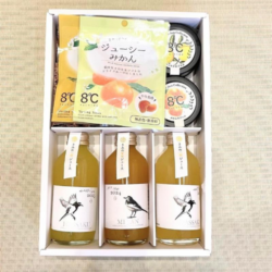 きみの　バラエティ―ギフト　A
