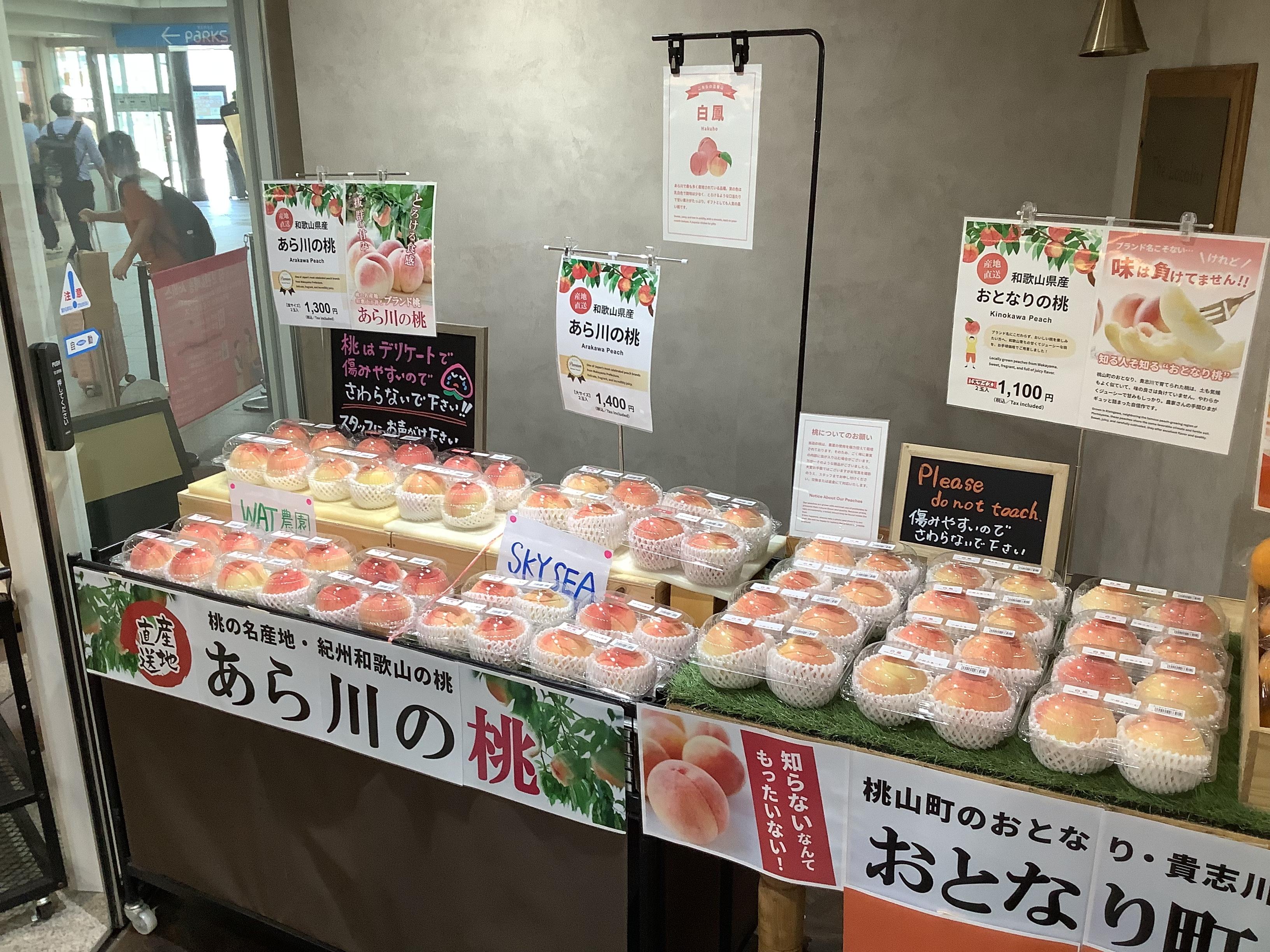 バナー画像1