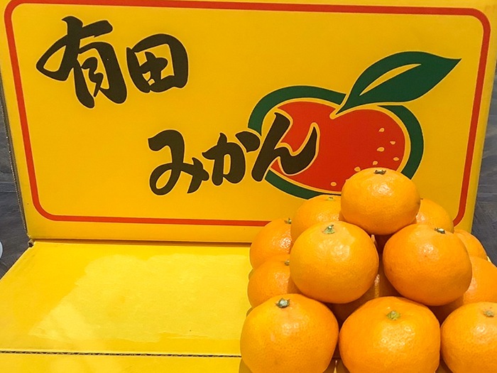 �²λ�������ͭ�Ĥߤ���ڣ�kg��