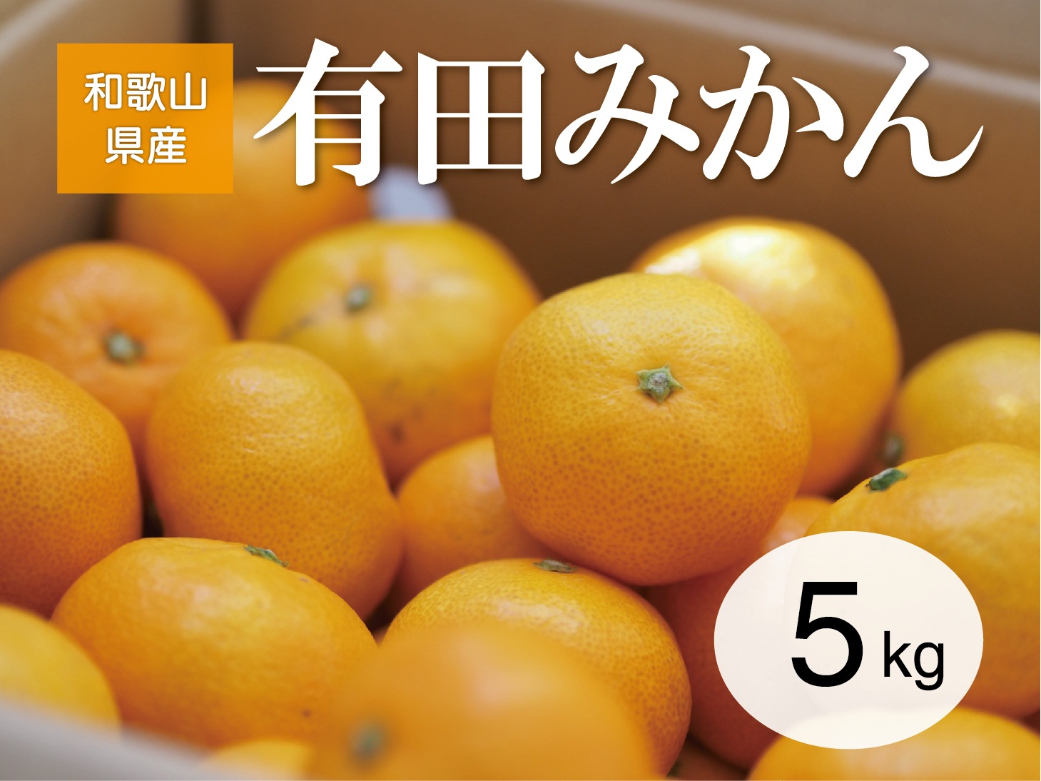 �²λ�������ͭ�Ĥߤ���ڣ�kg��