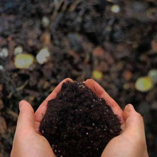 mayu-ket premium�ʥ��󥰥륵������