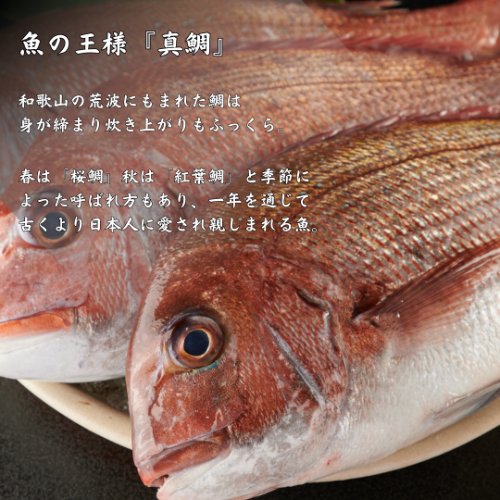 �����߹����ᤷ����