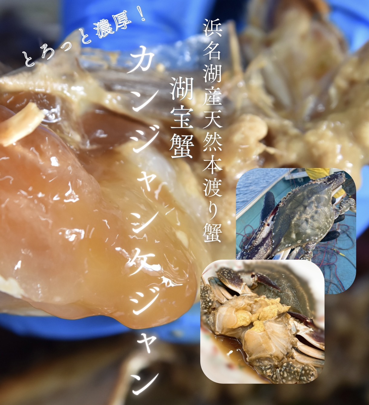 【浜名湖産】湖宝蟹(本ワタリガニメス)カンジャンケジャン 1杯300g〜400g